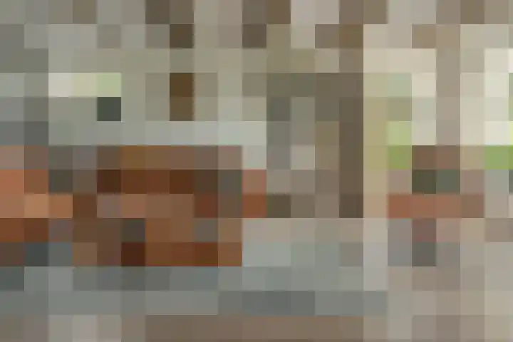 Foarstreek 10 Baaium thumbnail 13