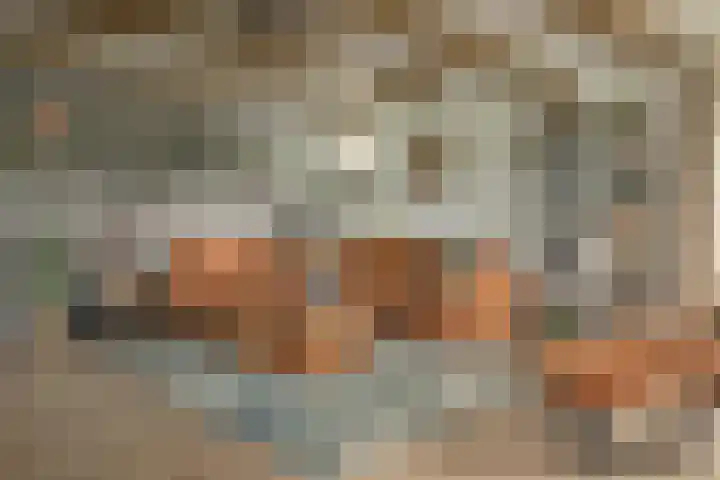 Foarstreek 10 Baaium thumbnail 14
