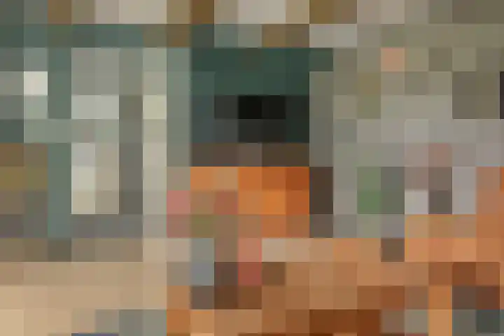 Foarstreek 10 Baaium thumbnail 16