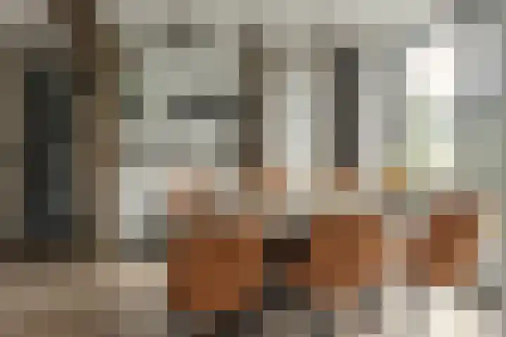Foarstreek 10 Baaium thumbnail 22