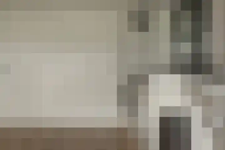 Foarstreek 10 Baaium thumbnail 27