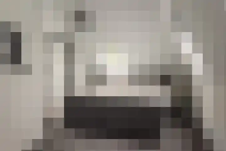 Foarstreek 10 Baaium thumbnail 28