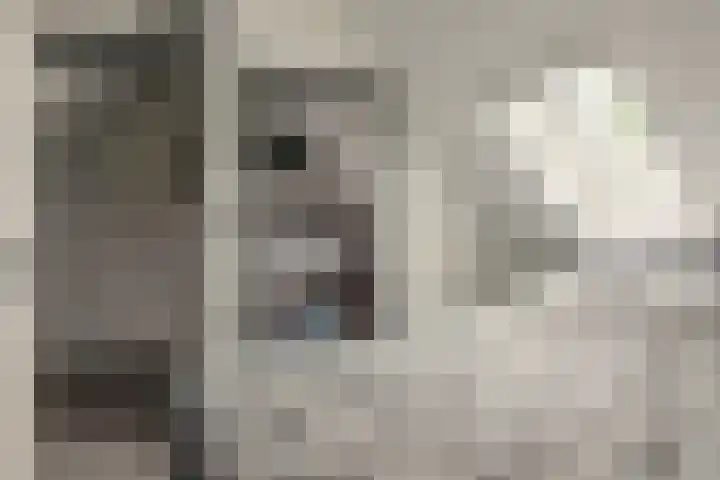 Foarstreek 10 Baaium thumbnail 29
