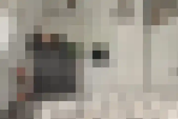 Foarstreek 10 Baaium thumbnail 30