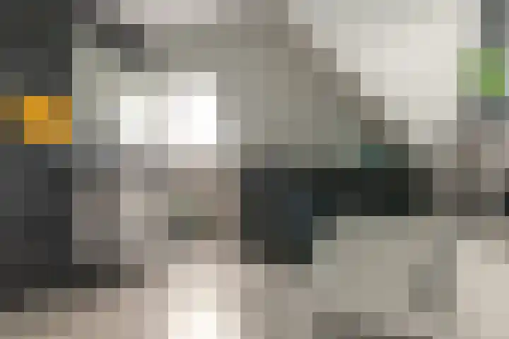 Foarstreek 10 Baaium thumbnail 33