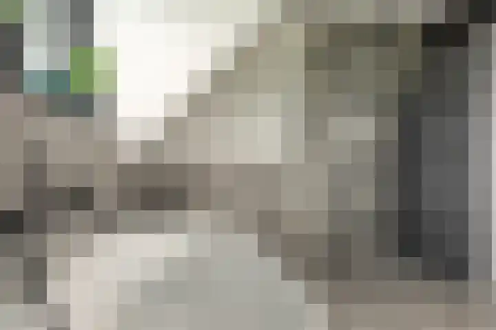 Foarstreek 10 Baaium thumbnail 34