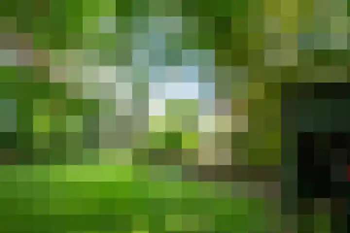 Foarstreek 10 Baaium thumbnail 35