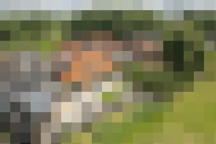 Foarstreek 10 Baaium thumbnail 36