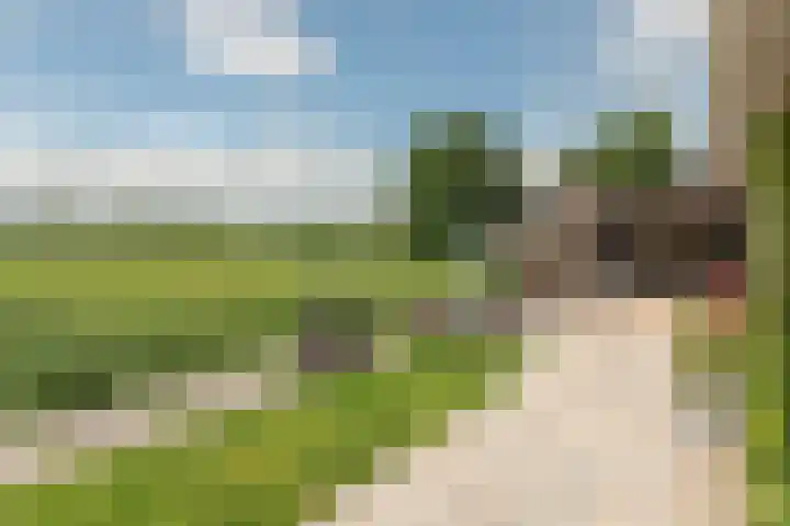 Foarstreek 10 Baaium thumbnail 39