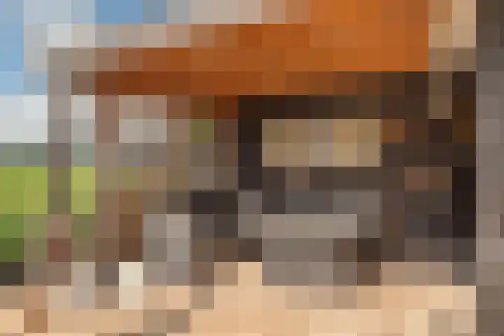 Foarstreek 10 Baaium thumbnail 40
