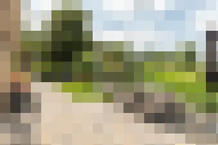 Foarstreek 10 Baaium thumbnail 45