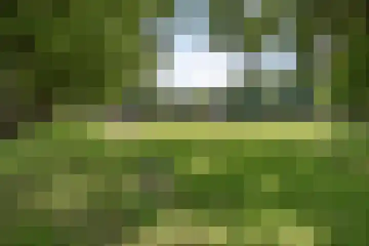 Foarstreek 10 Baaium thumbnail 46