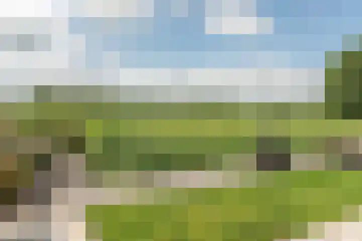 Foarstreek 10 Baaium thumbnail 6