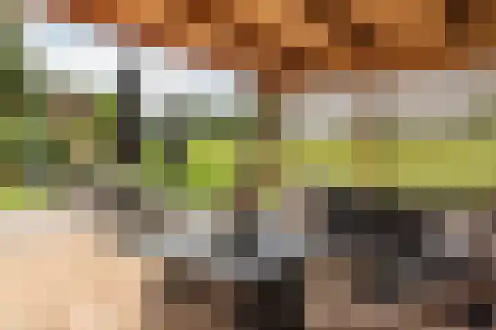 Foarstreek 10 Baaium thumbnail 7