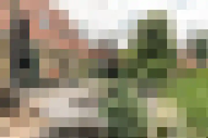 Foarstreek 10 Baaium thumbnail 8