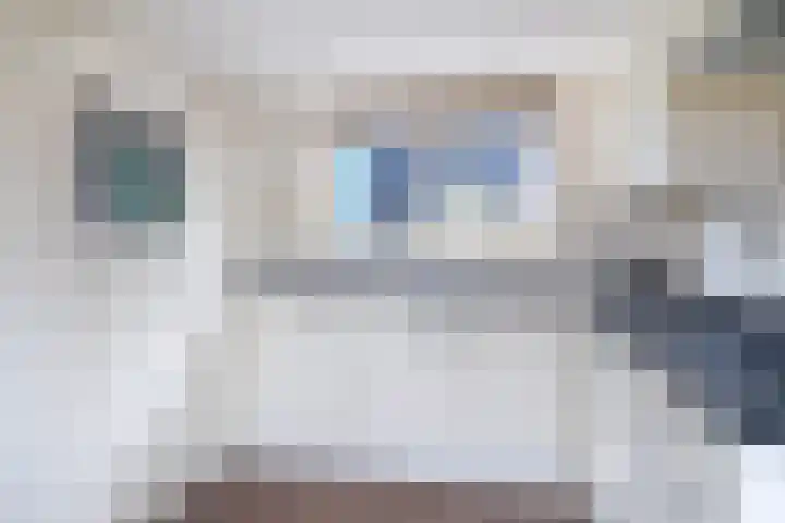 Foarstrjitte 10 De Westereen thumbnail 15