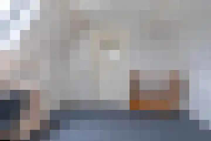Foarstrjitte 10 De Westereen thumbnail 29