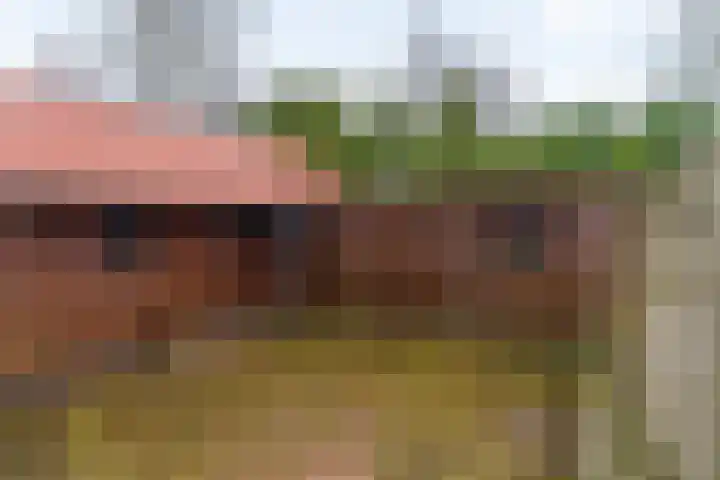 Foarstrjitte 10 De Westereen thumbnail 4