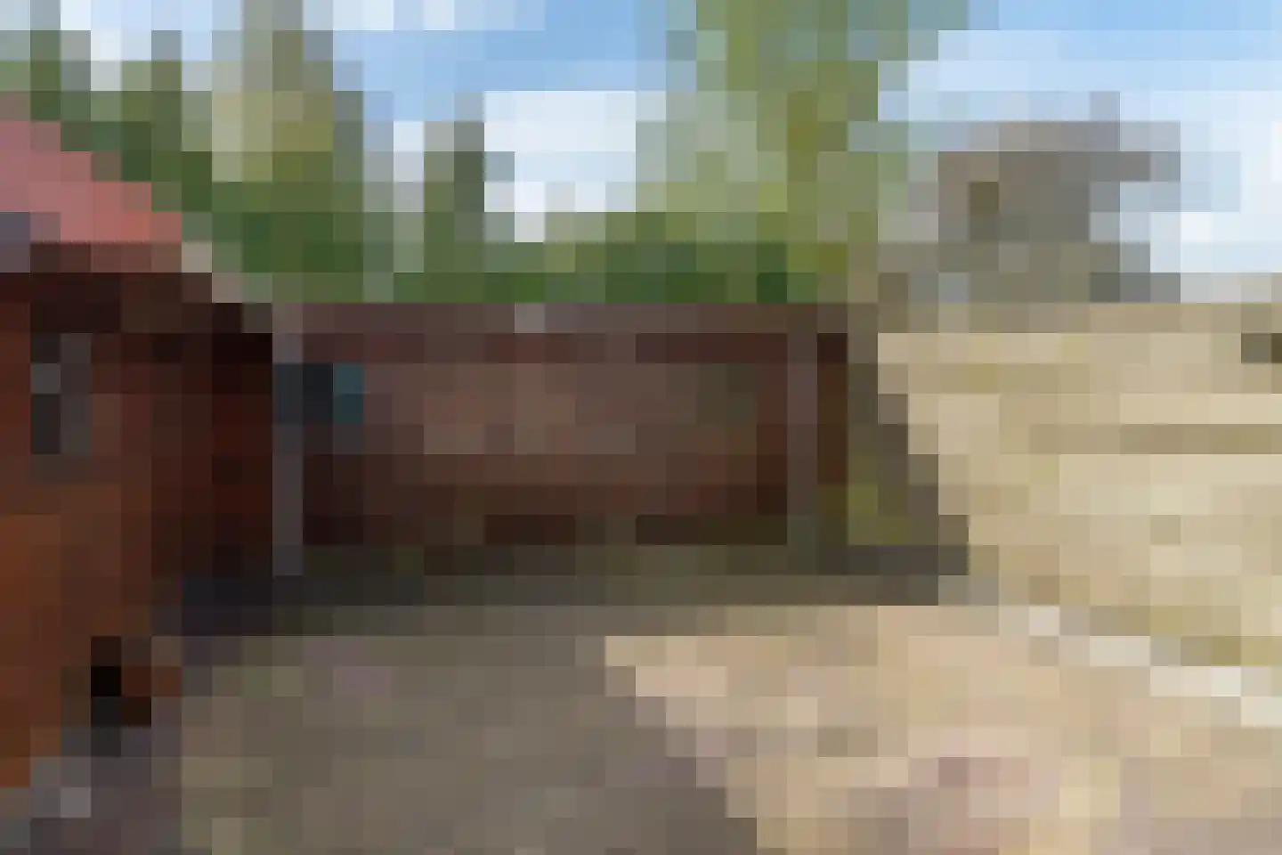Foarstrjitte 10 De Westereen thumbnail 4