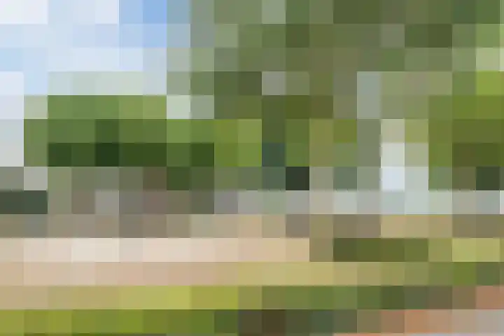 Foarstrjitte 10 De Westereen thumbnail 50