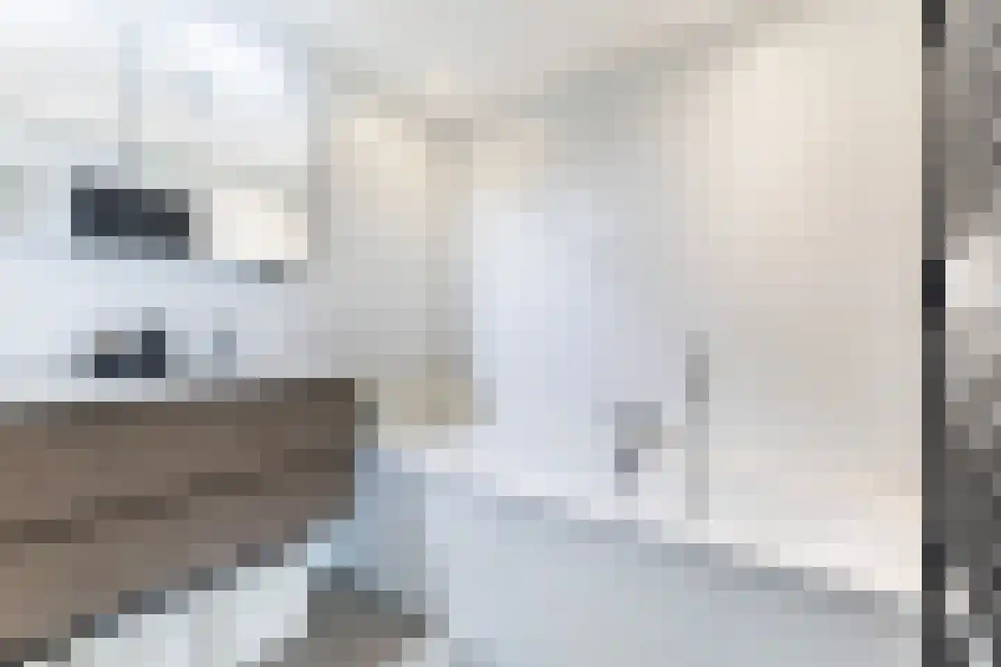 Foarstrjitte 12 Holwert thumbnail 32