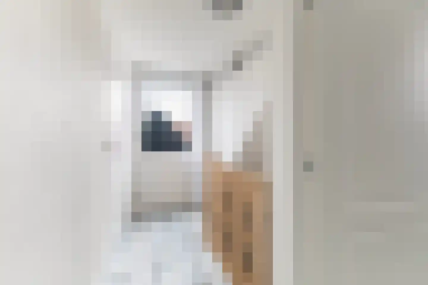 Foarstrjitte 12 Holwert thumbnail 35