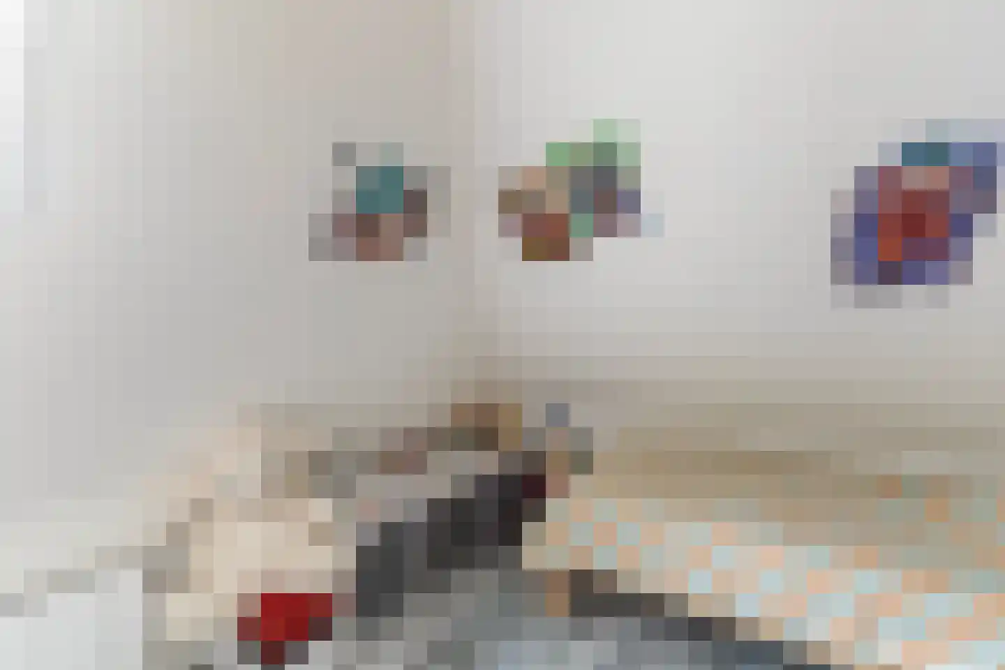 Foarstrjitte 12 Holwert thumbnail 38
