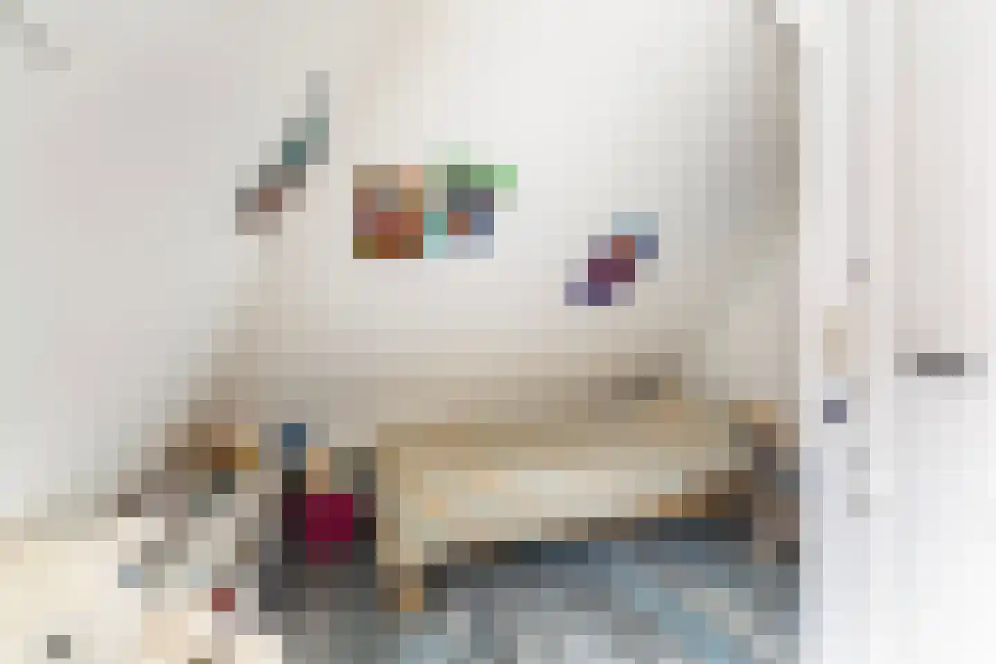 Foarstrjitte 12 Holwert thumbnail 39