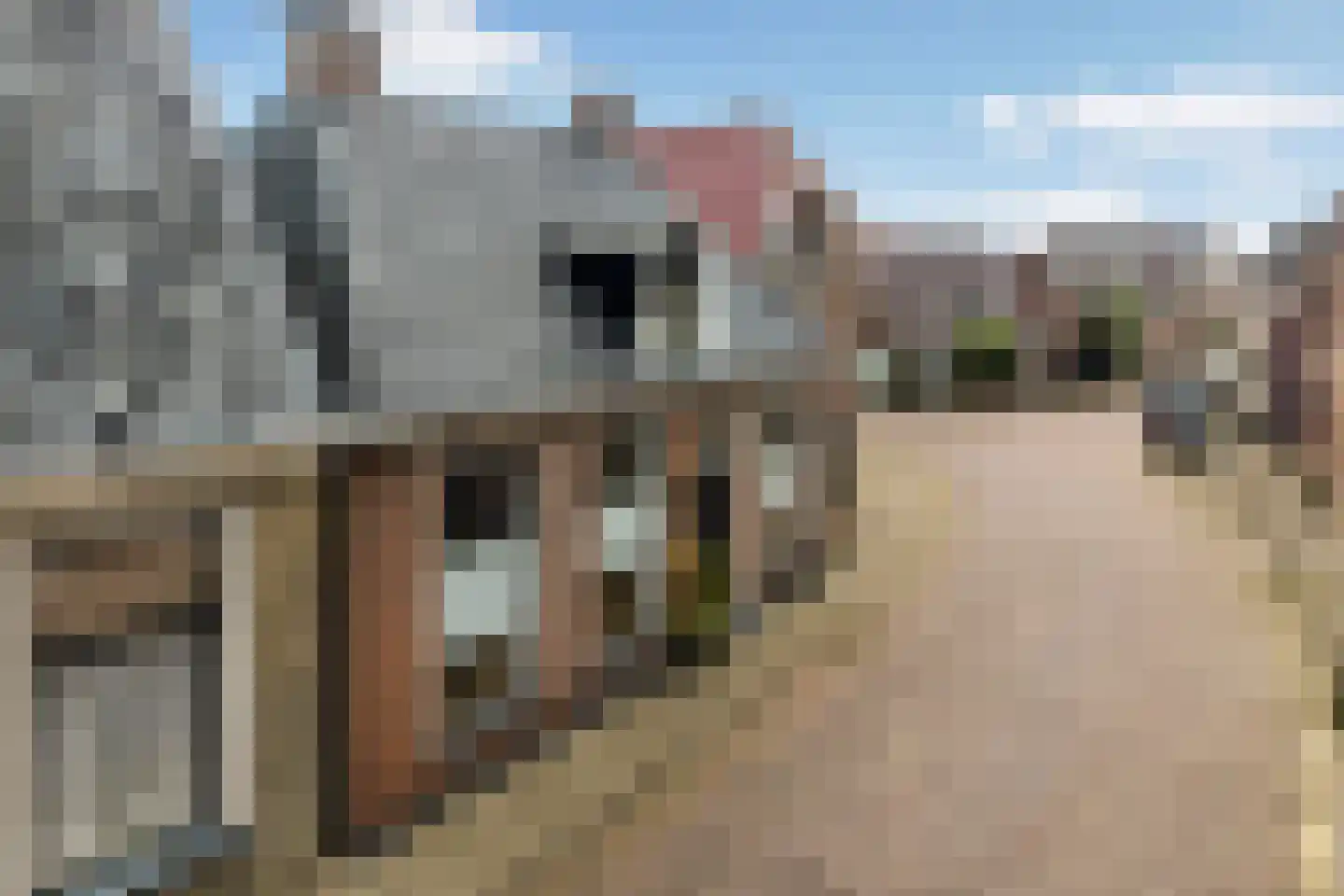 Foarstrjitte 12 Holwert thumbnail 4