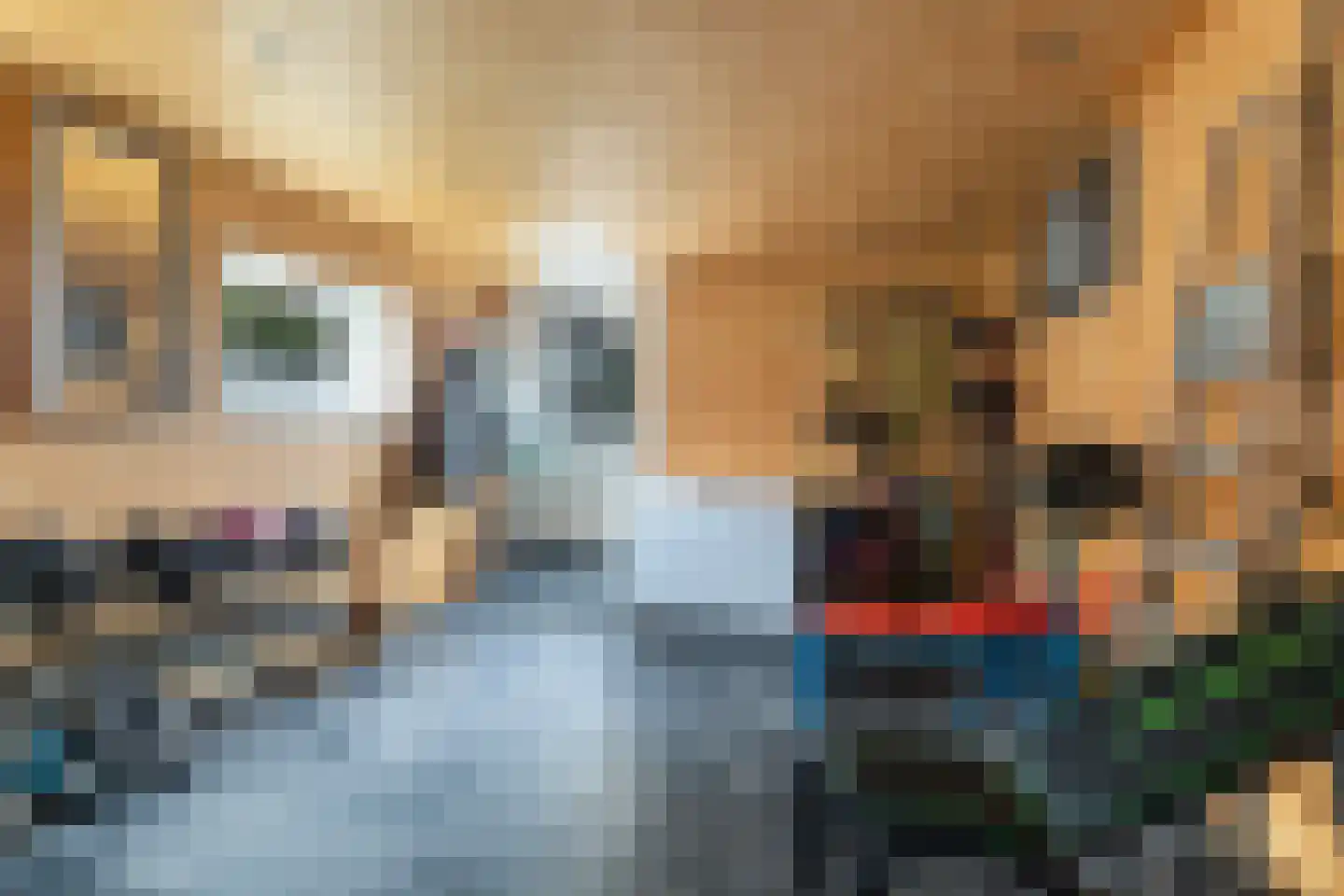 Foarstrjitte 12 Holwert thumbnail 42