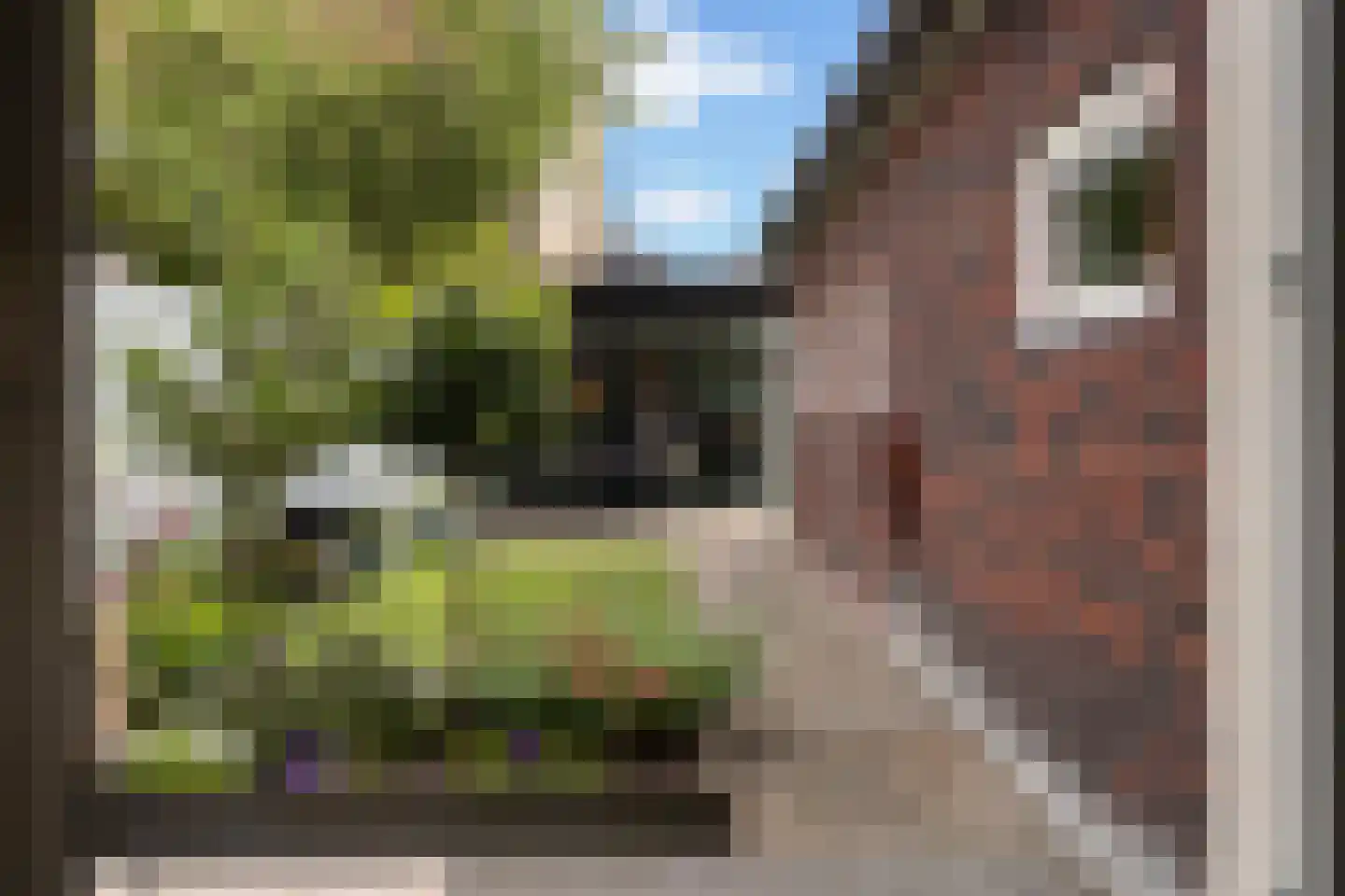 Foarstrjitte 12 Holwert thumbnail 45
