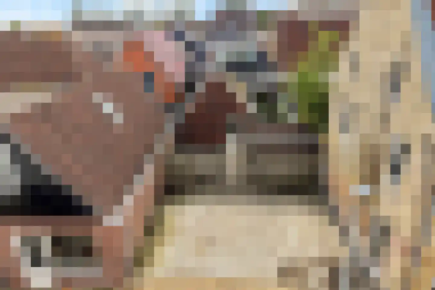 Foarstrjitte 12 Holwert thumbnail 5