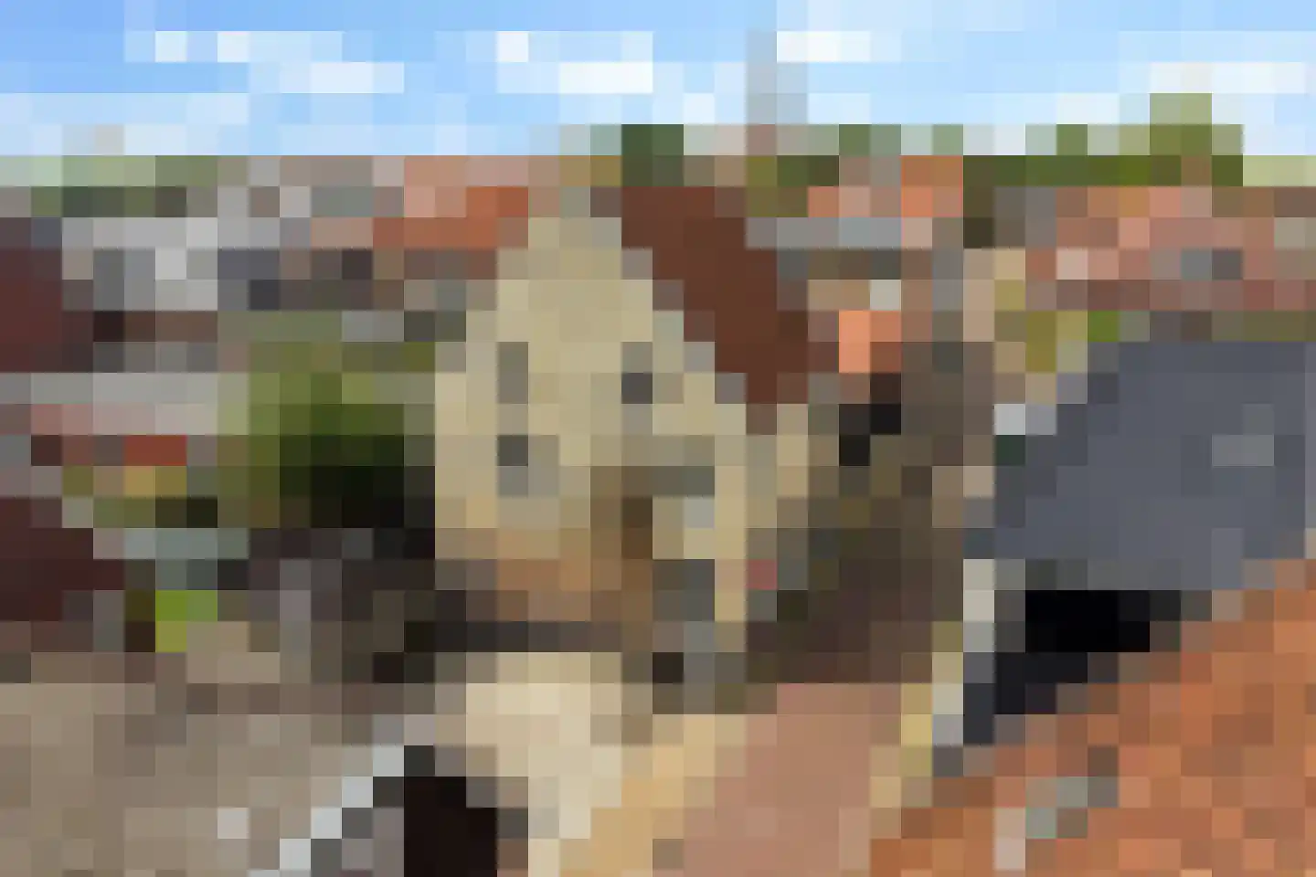 Foarstrjitte 12 Holwert thumbnail 52