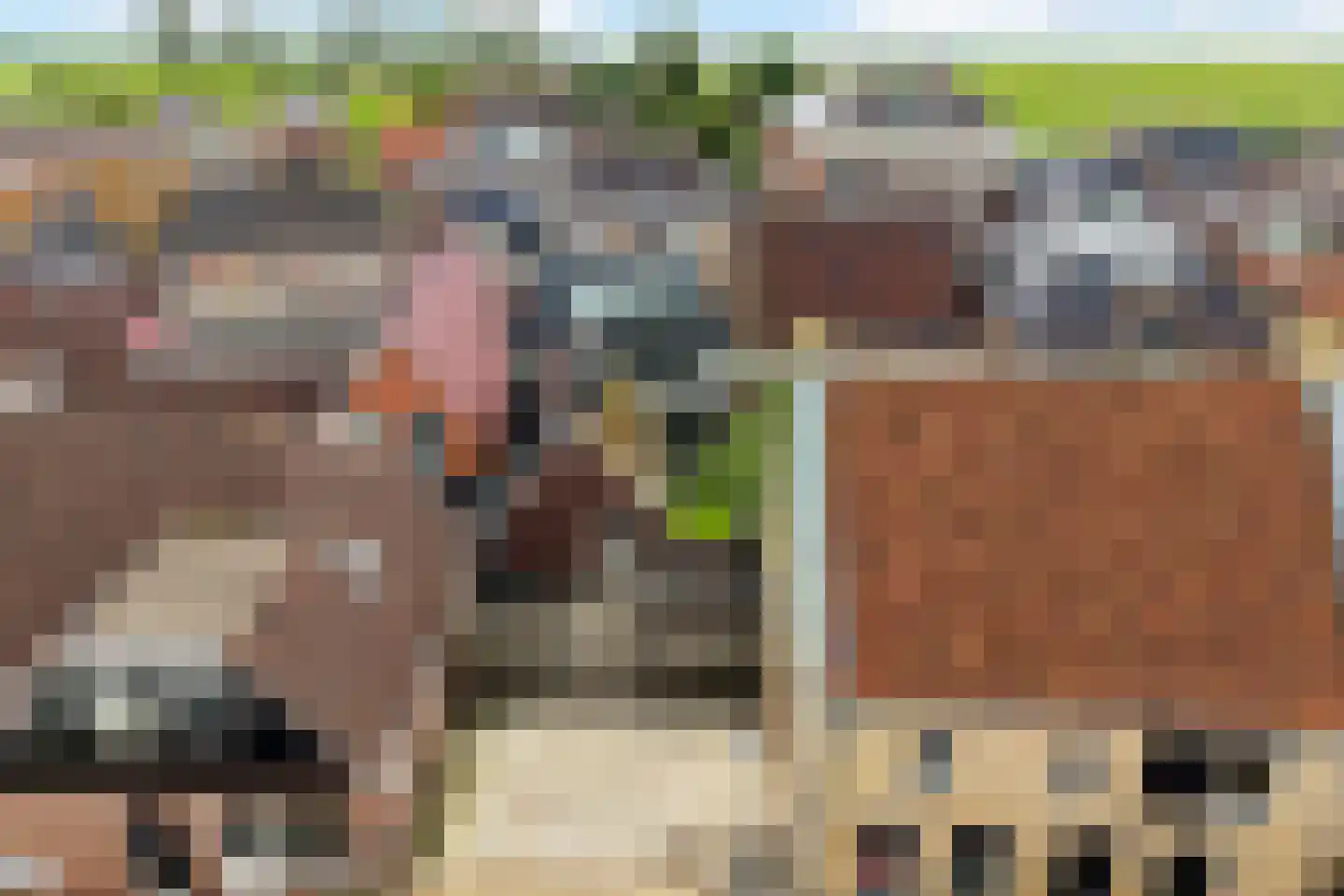 Foarstrjitte 12 Holwert thumbnail 53