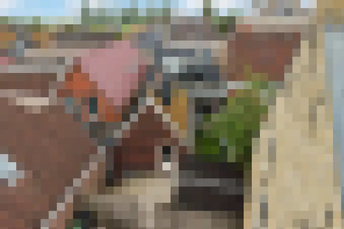 Foarstrjitte 12 Holwert thumbnail 6