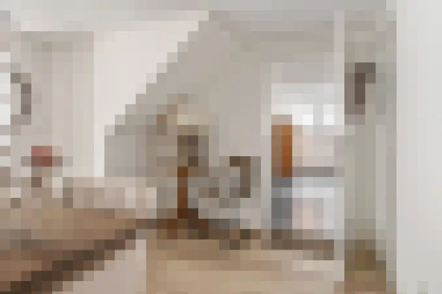 Foarstrjitte 16 Holwert thumbnail 13