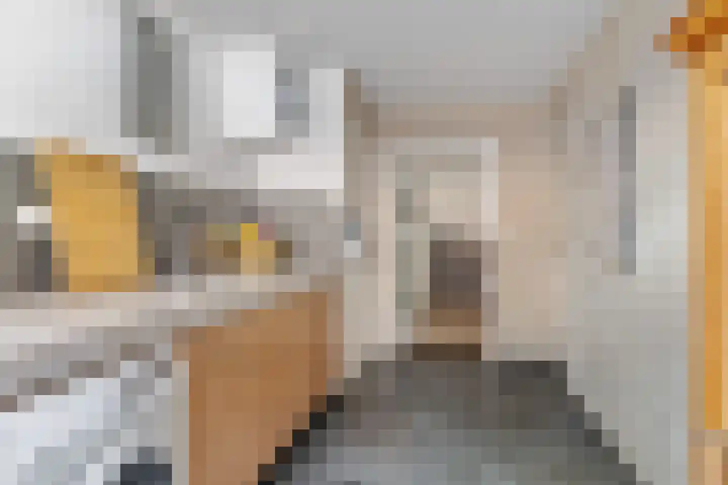 Foarstrjitte 16 Holwert thumbnail 15