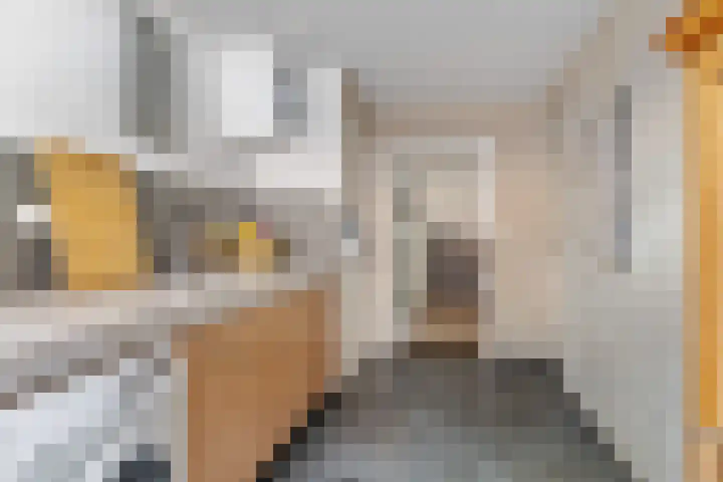 Foarstrjitte 16 Holwert thumbnail 16