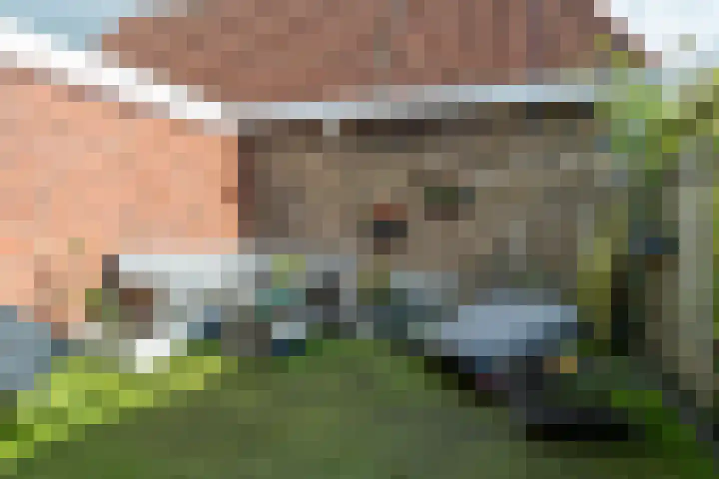 Foarstrjitte 16 Holwert thumbnail 20