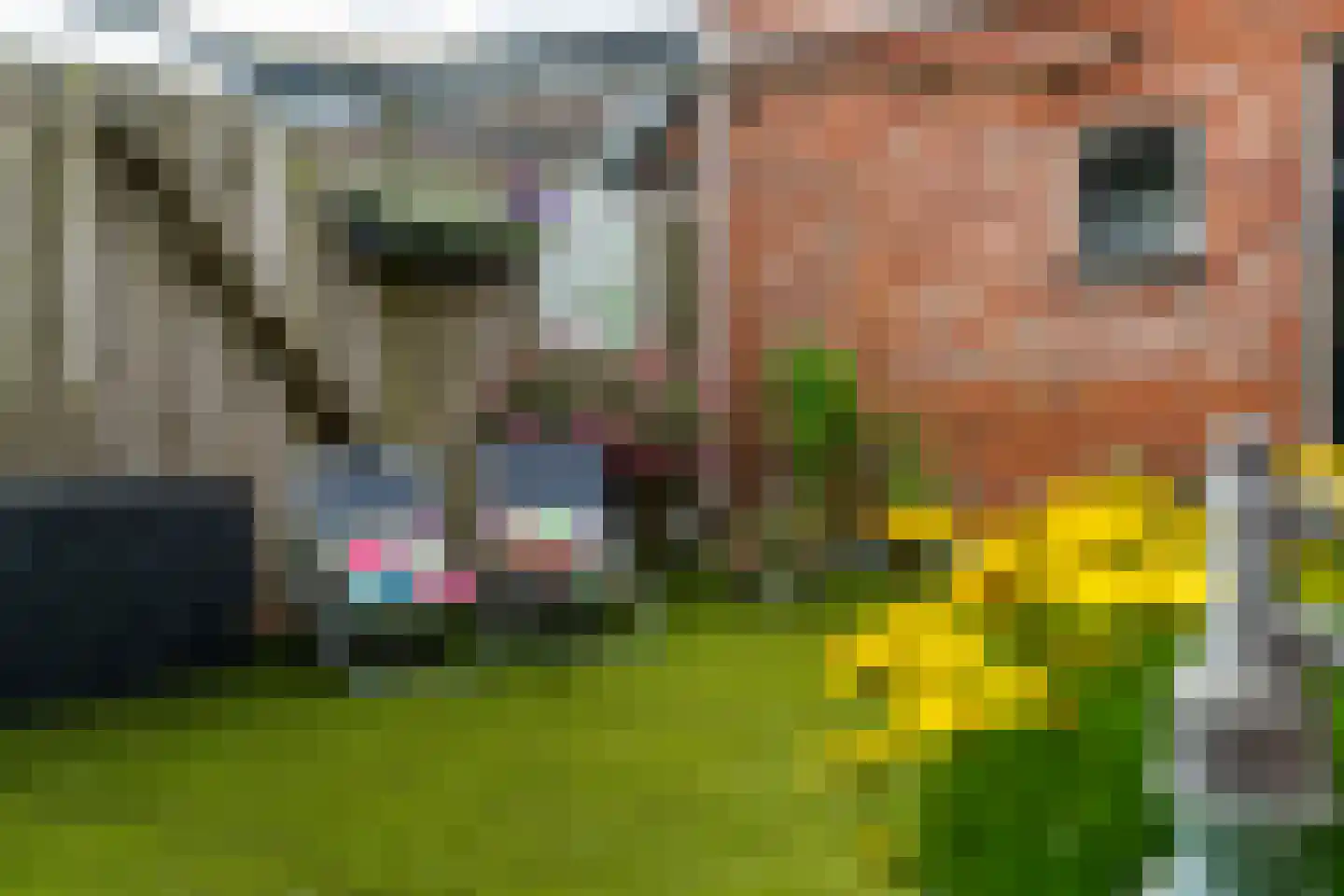 Foarstrjitte 16 Holwert thumbnail 22