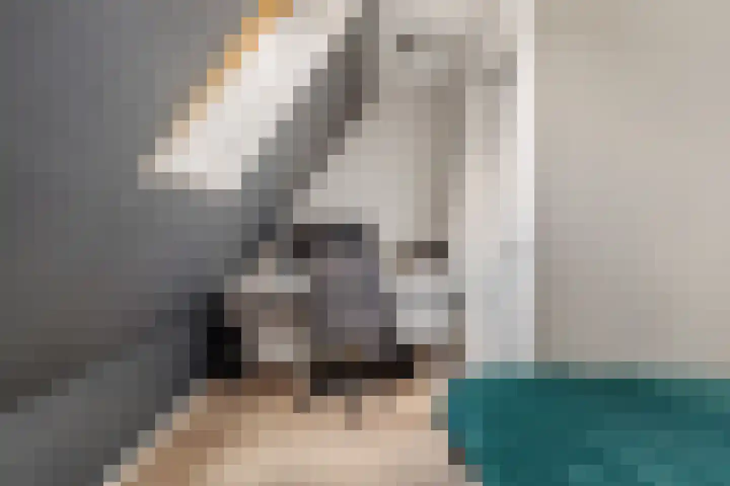 Foarstrjitte 16 Holwert thumbnail 30