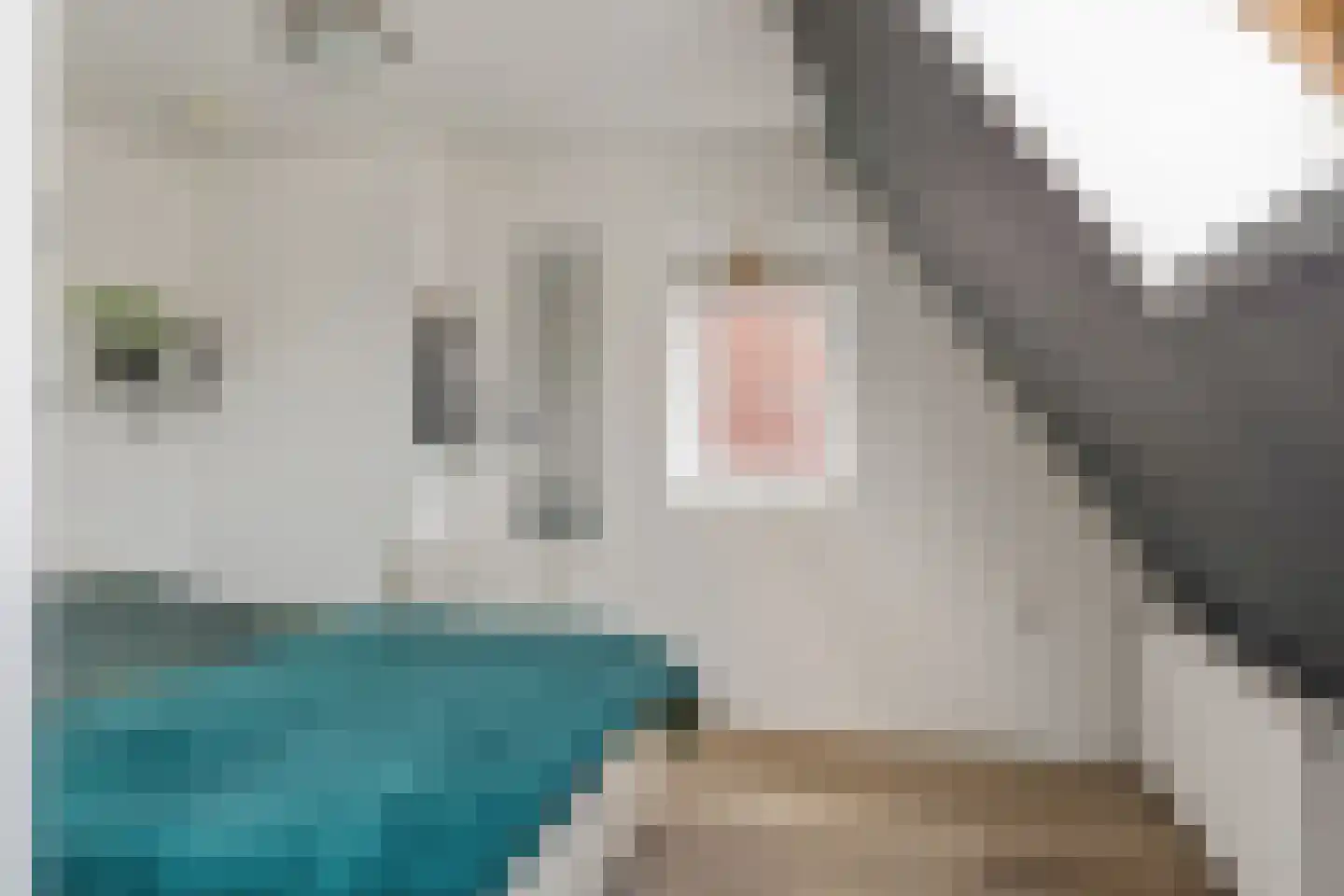 Foarstrjitte 16 Holwert thumbnail 32
