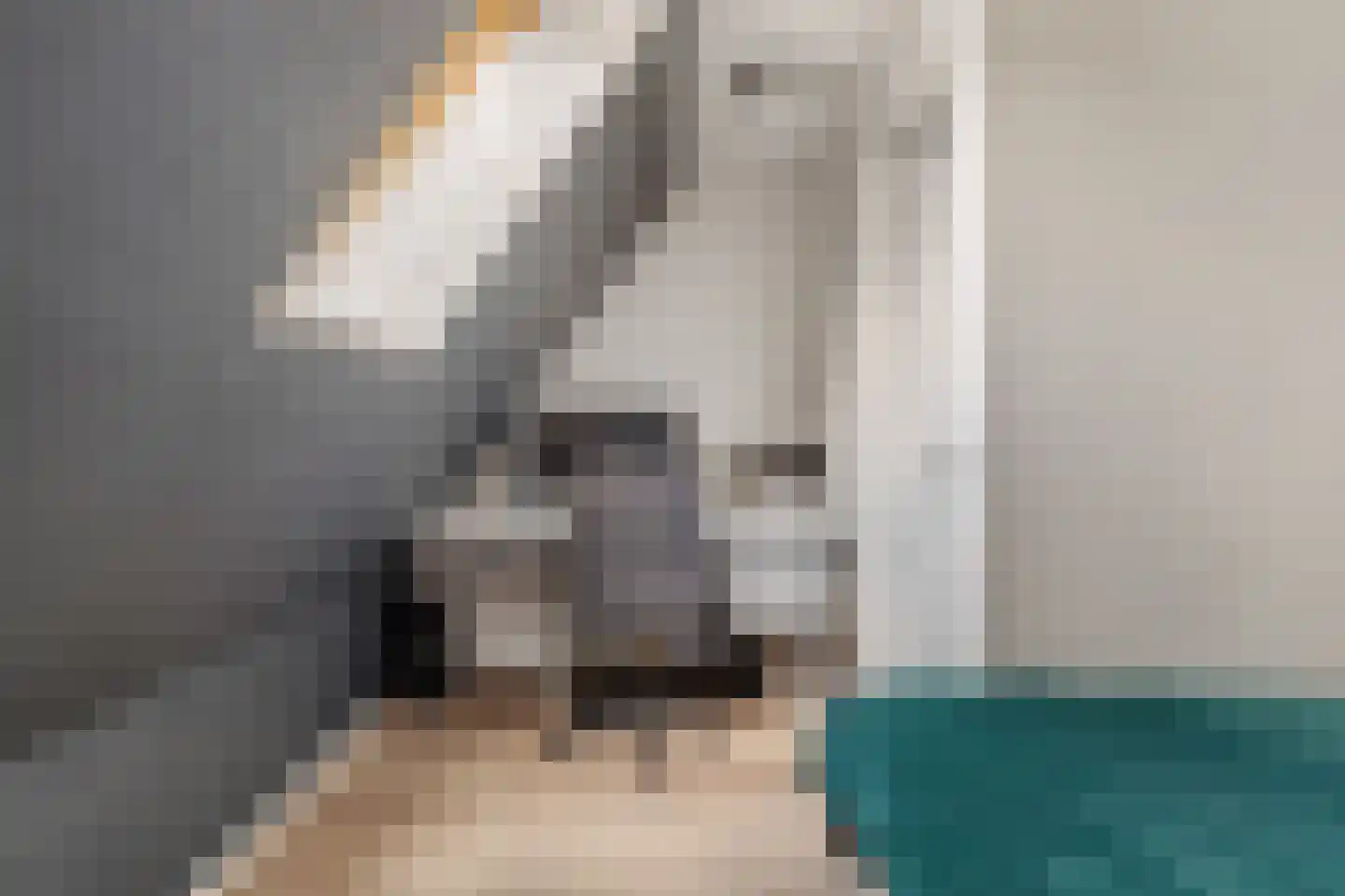 Foarstrjitte 16 Holwert thumbnail 33