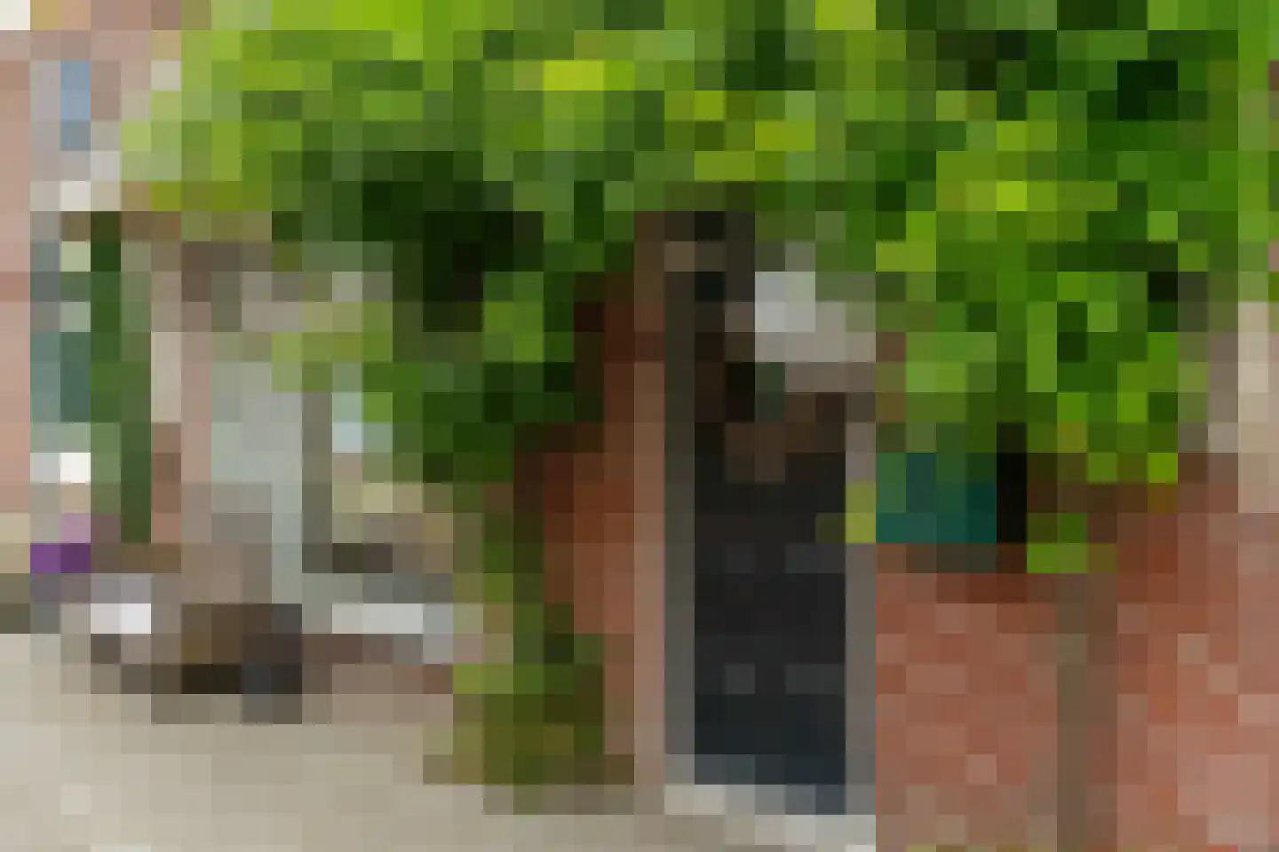 Foarstrjitte 16 Holwert thumbnail 41