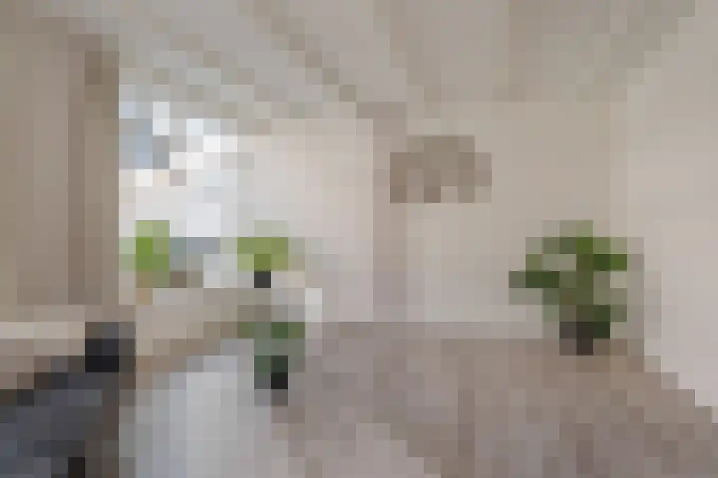 Foarstrjitte 16 Holwert thumbnail 7