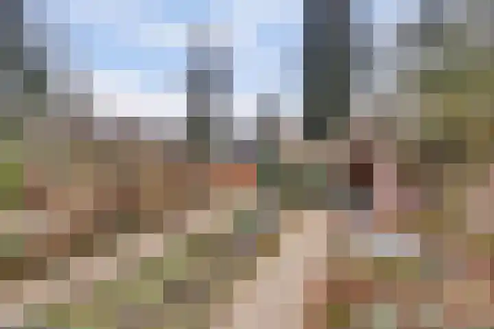 Foarstrjitte 23 Holwert