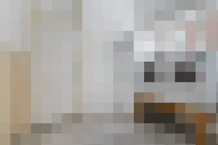 Foarstrjitte 23 Holwert thumbnail 17