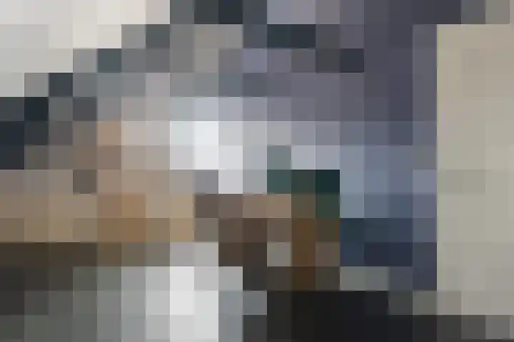Foarstrjitte 23 Holwert thumbnail 27
