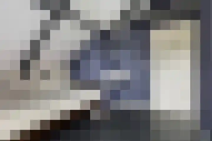 Foarstrjitte 23 Holwert thumbnail 30