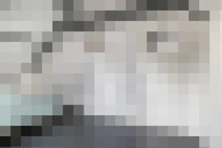 Foarstrjitte 23 Holwert thumbnail 33